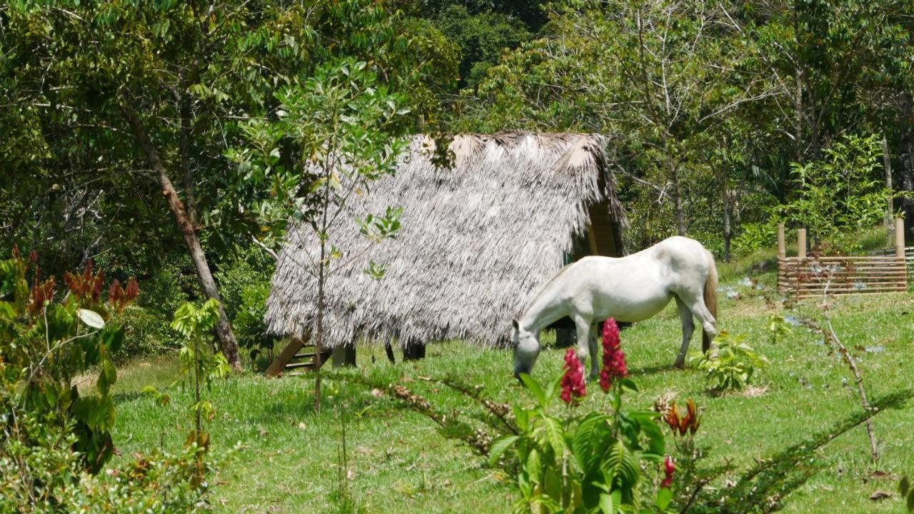 La Perla Negra - Black Pearl San Rafael  Bagian luar foto