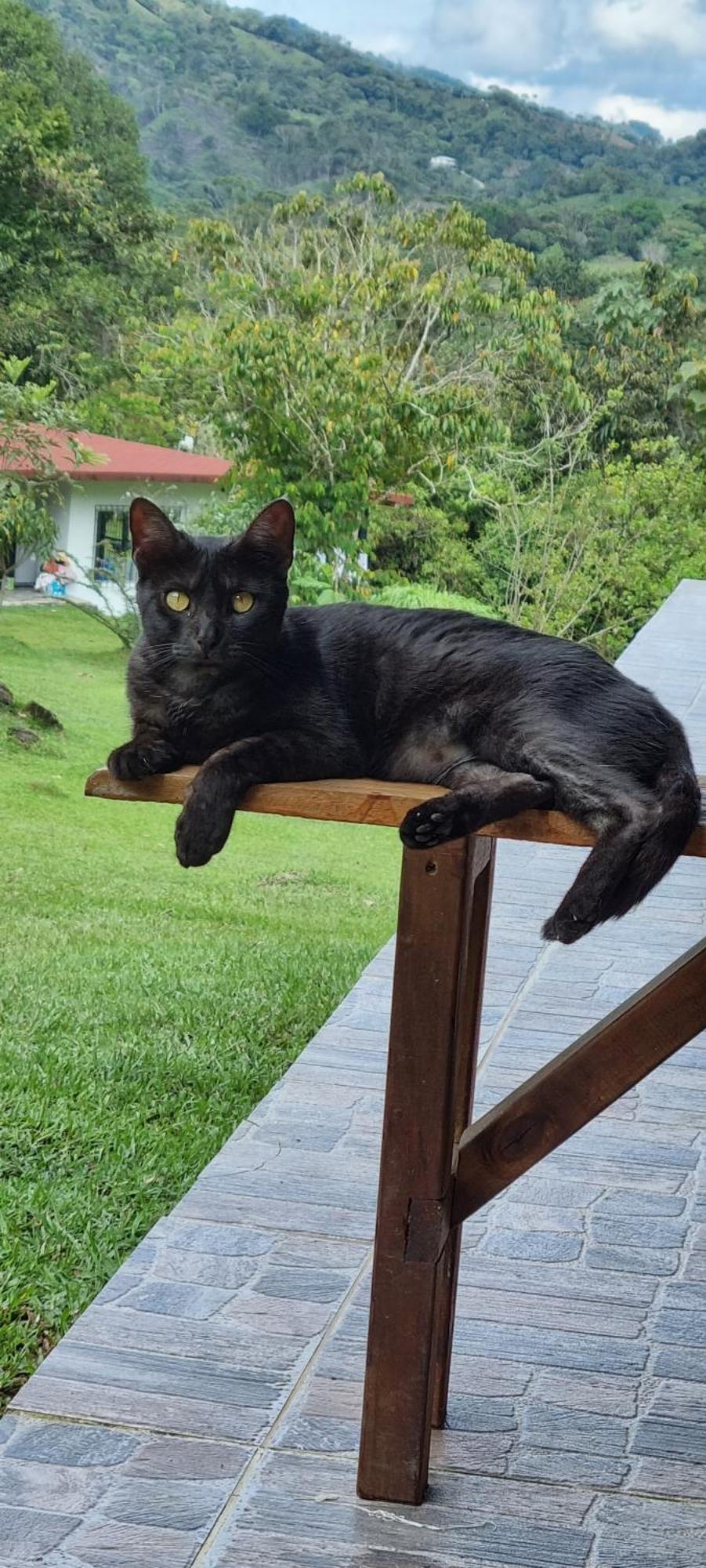 La Perla Negra - Black Pearl San Rafael  Bagian luar foto